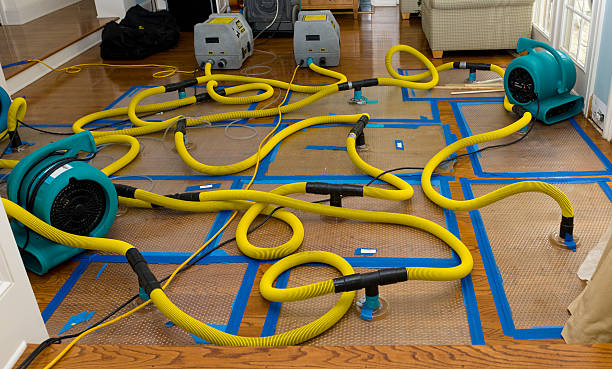 Professional Water Extraction technician working in McClure, OH