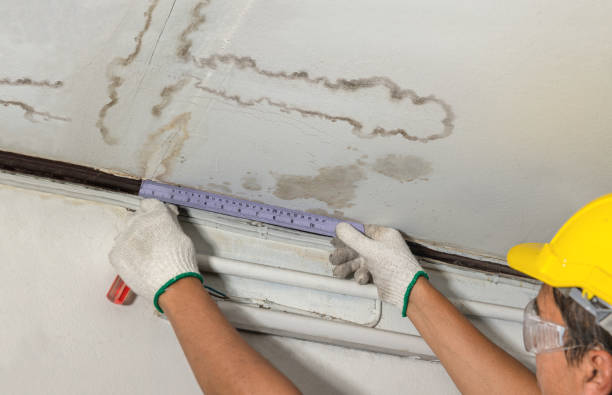 Affordable Water Damage Repair solutions in McClure, OH